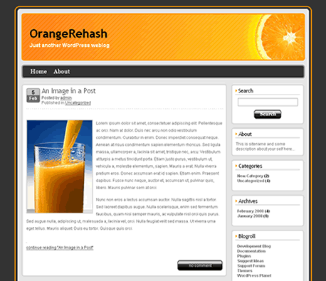 Free WordPress Template - OrangeRehash